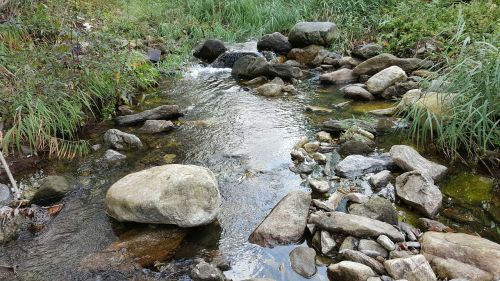 the rural brook the creek streams
