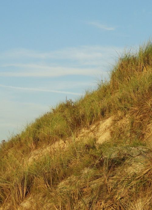 the sand dunes the baltic sea sea