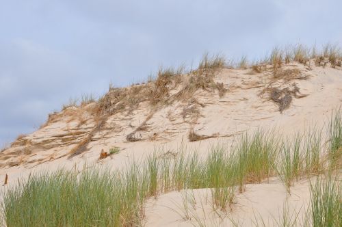 the sand dunes the mobile dune the coast