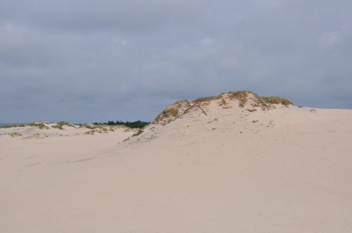 the sand dunes moving dunes the mobile dune