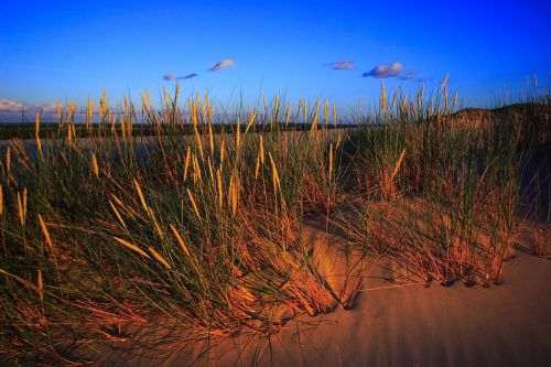 the sand dunes dune slowinski national park
