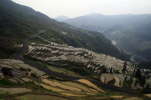 the scenery terrace nature