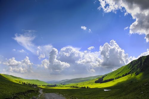 the scenery blue sky white cloud