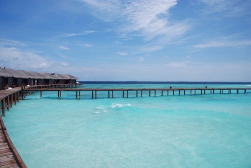 the sea maldives views
