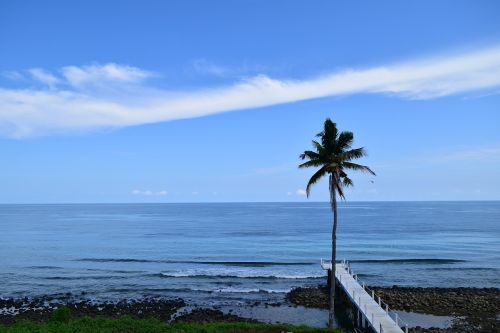 the sea coconut trees blue sky