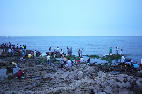 the sea early in the morning visitors