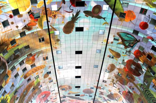 the shopping center the ceiling the art of
