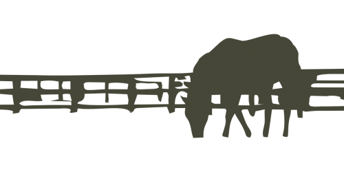 the silhouette clipart animal