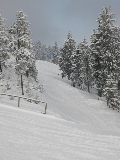 the ski slope  winter  mountains