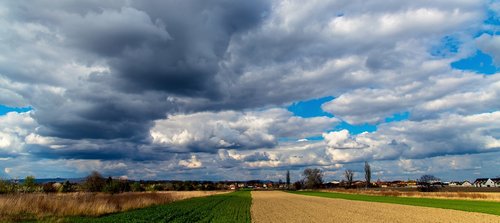 the sky  clouds  field
