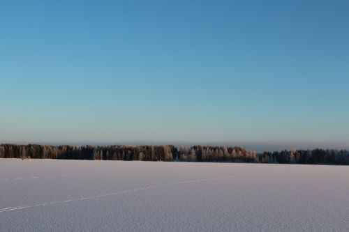 the skyline winter landscape frosty forest
