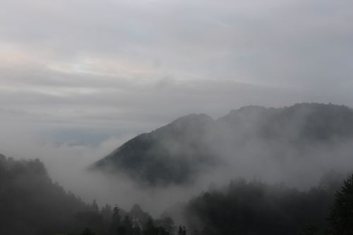 the smoky mountains clouds fog