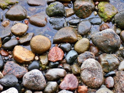 the stones pebbles the coast