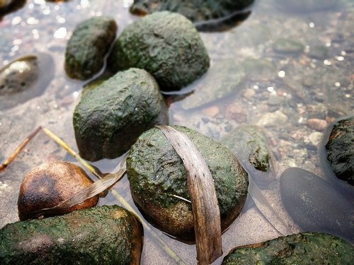 the stones  beach  water