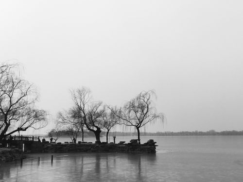 the summer palace black and white lake