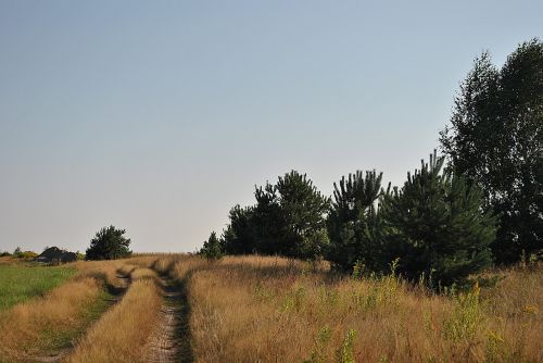 the sun weather nature