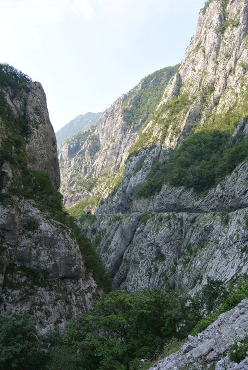 the tara river montenegro canyon