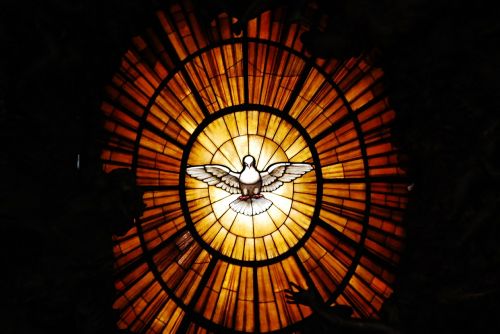 the vatican dove of peace vatican