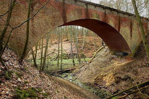 the viaduct  the brook  forest