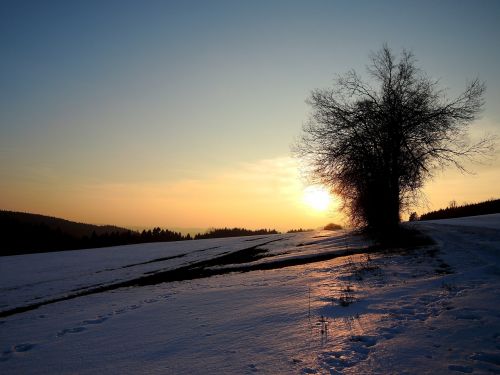the vysočina region winter nature