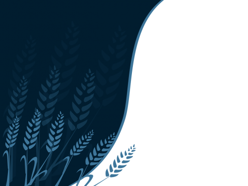 the wheat do screen