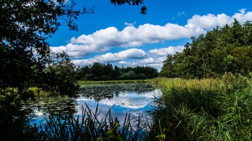 the wieden giethoorn nature