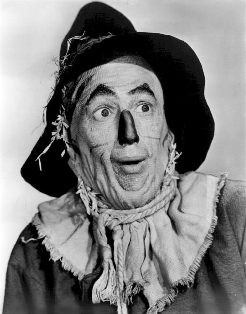 the wizard of oz ray bolger actor