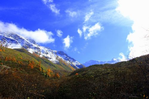 the yellow dragon jiuzhaigou road