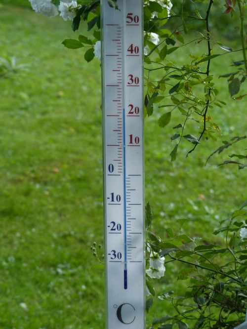 thermometer degree temperature