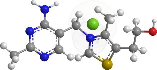 thiamine nitrogenous bases organic chemistry