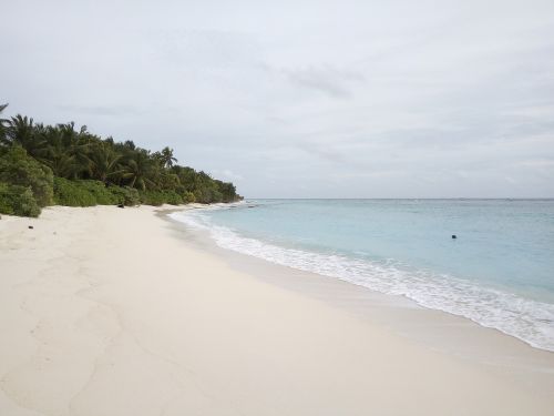 thoddoo maldives sea