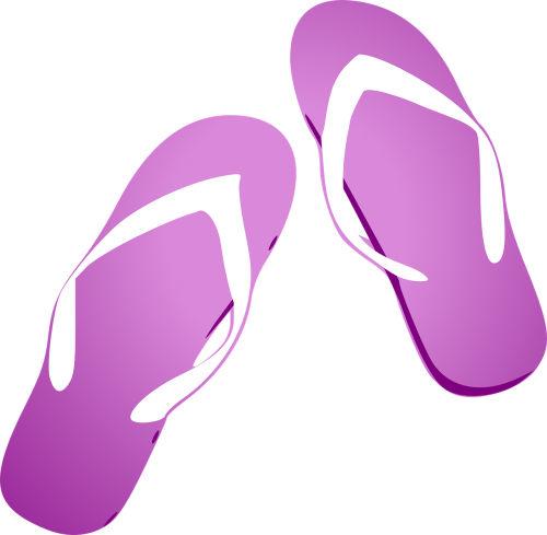 thongs flip flops sandals