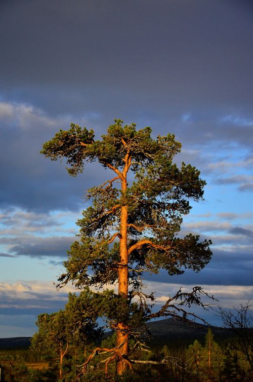 three sky the nature of the