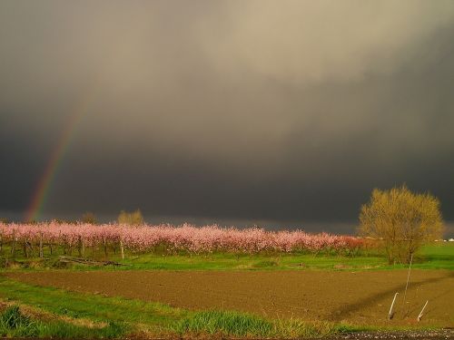thunderstorm rainbow spring