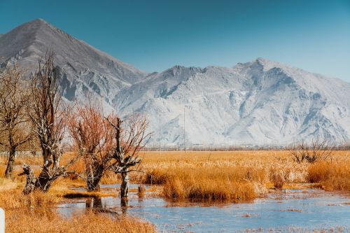 tibet lalu wetland nyainqentanglha