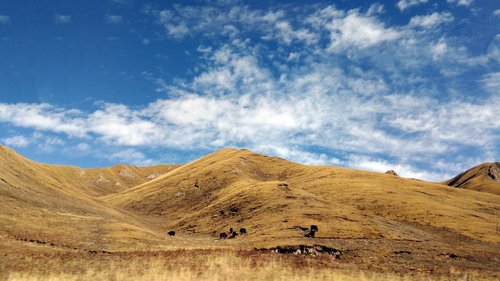 tibet  different culture  tibetan plateau