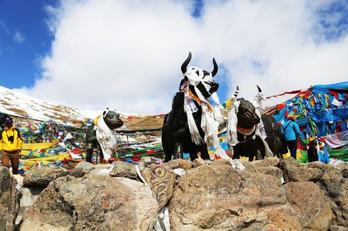 tibet mila mountains yakou