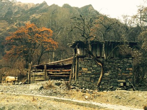 tibetan cabins shuangqiaogou siguniangshan