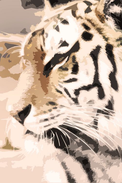 tiger beast big cat