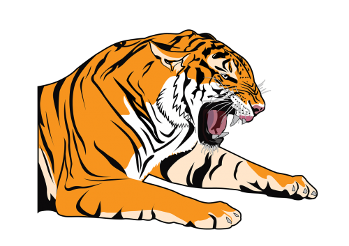 tiger roaring animal