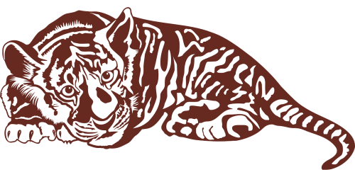 tiger wildcat sumatran tiger