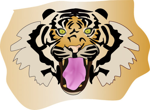 tiger wildcat head