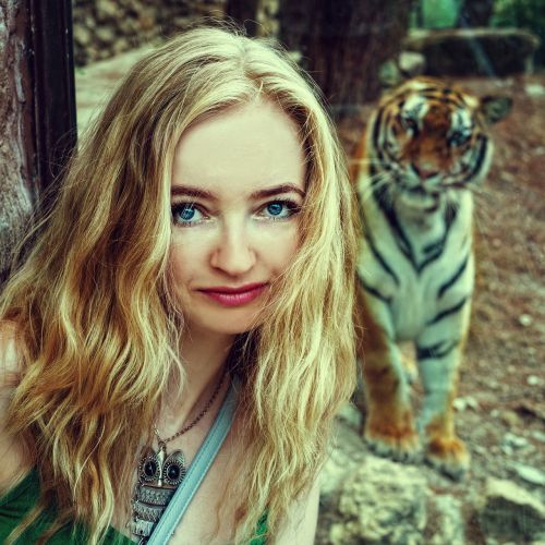 tiger tigress zoo