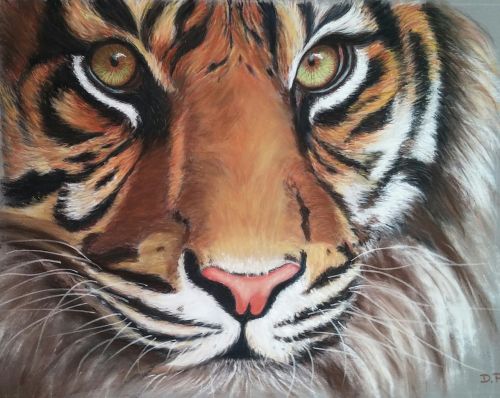 tiger pastel dry