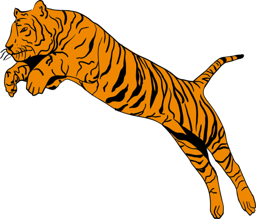 tiger animal jump