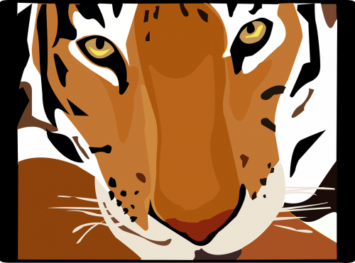 tiger forest animal