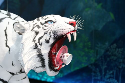 tiger white predator