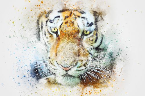 tiger animal art