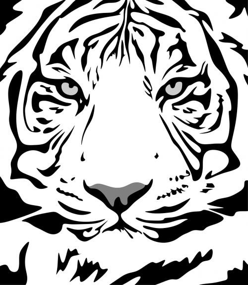tiger pattern animal