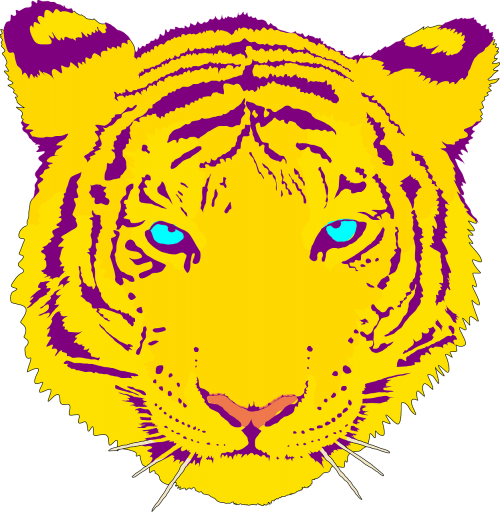 tiger head portrait